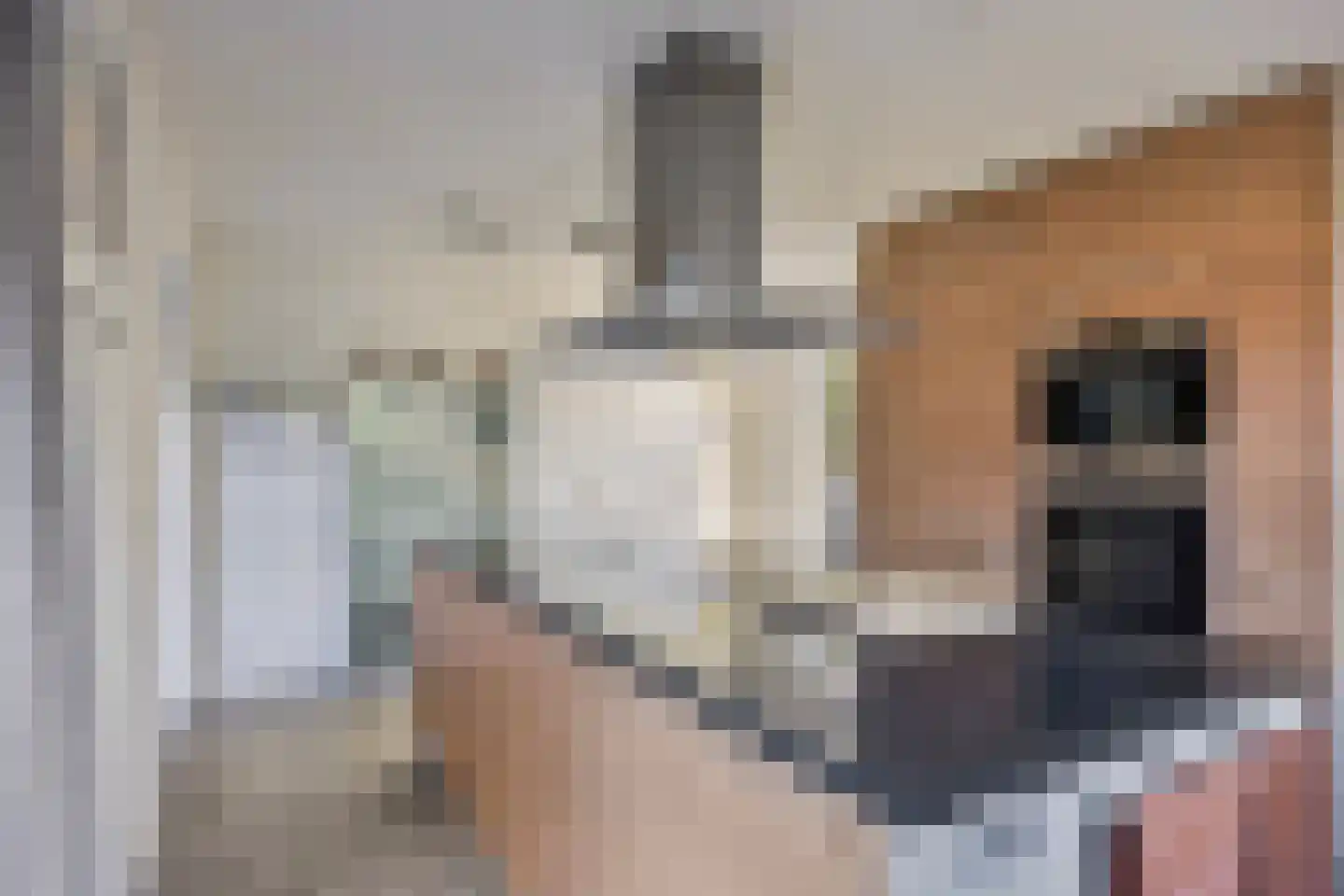 Heikant 5 Kaatsheuvel thumbnail 14