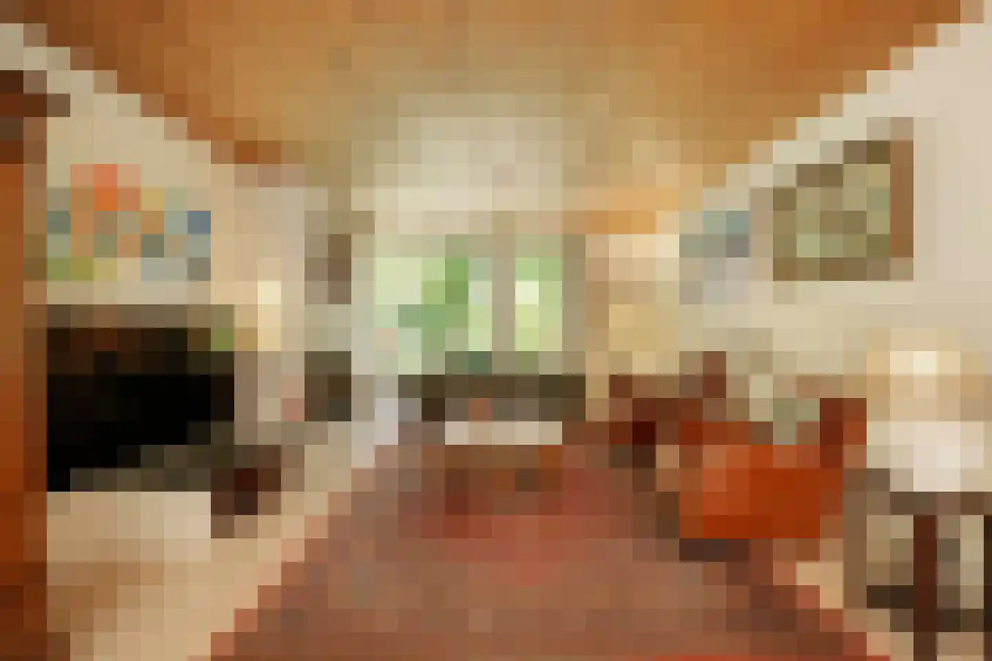 Heikant 8 Deurne thumbnail 15