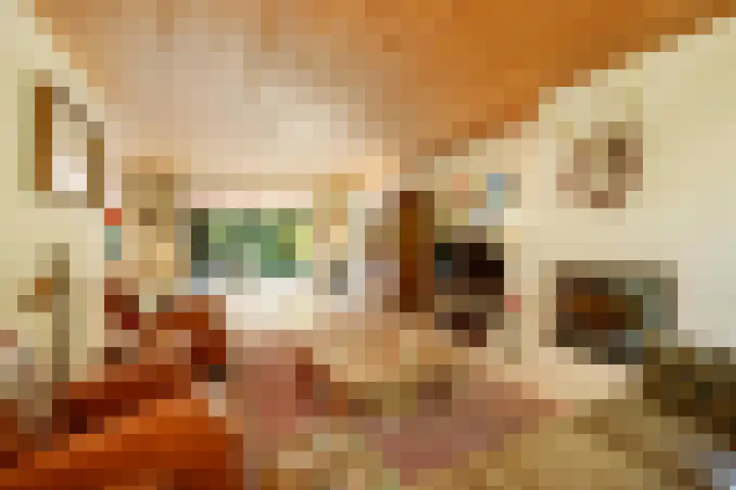 Heikant 8 Deurne thumbnail 16