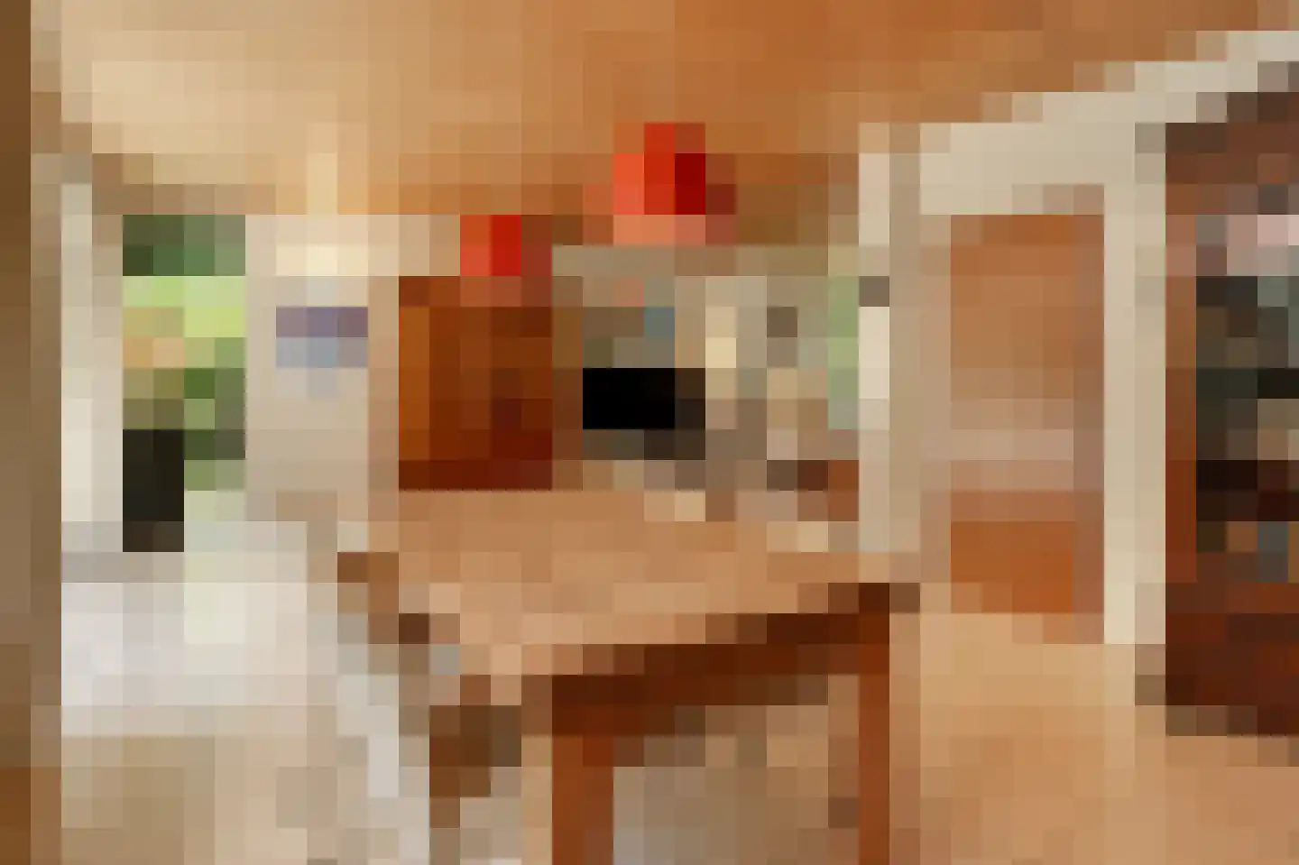 Heikant 8 Deurne thumbnail 19
