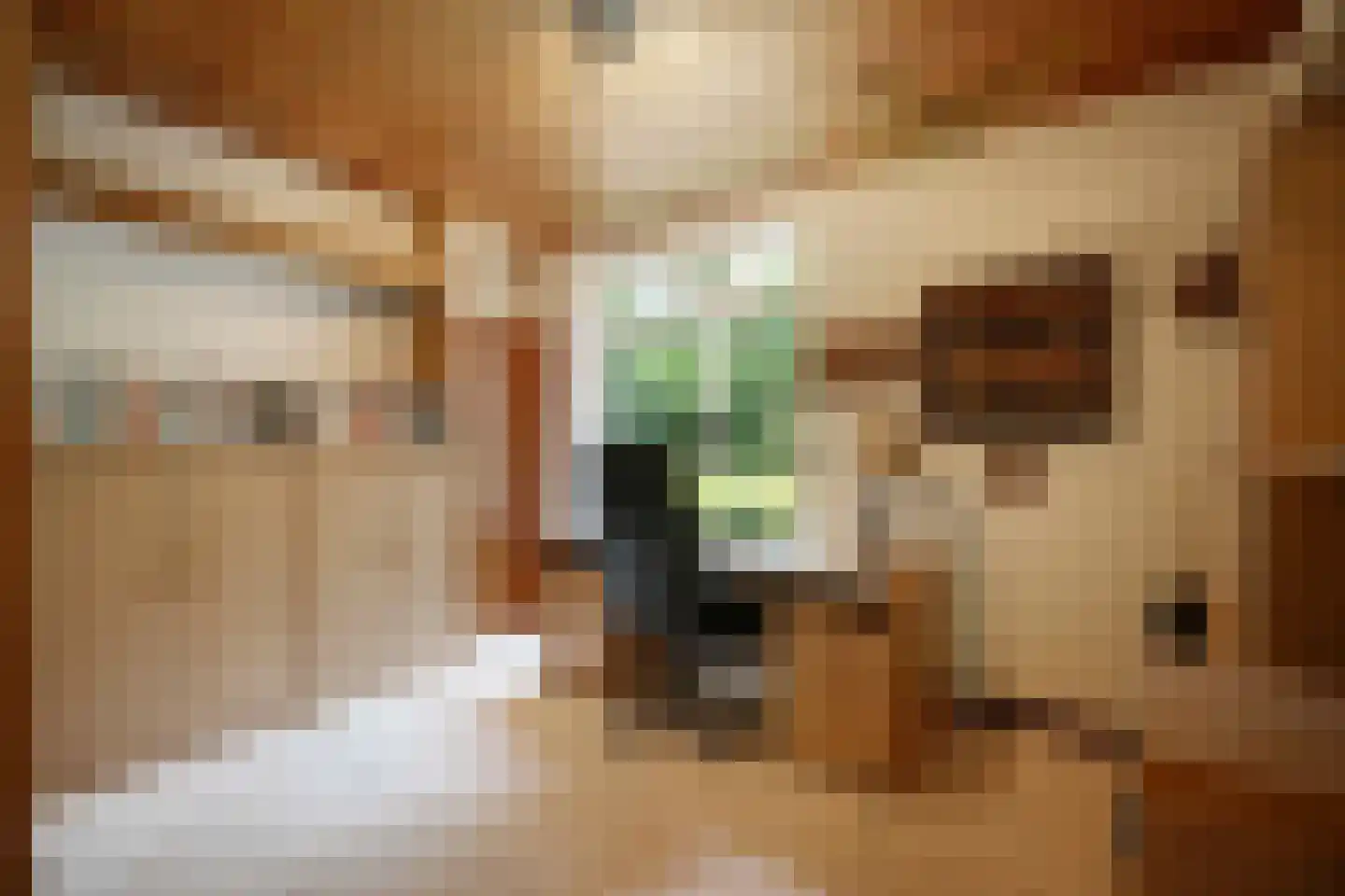 Heikant 8 Deurne thumbnail 22