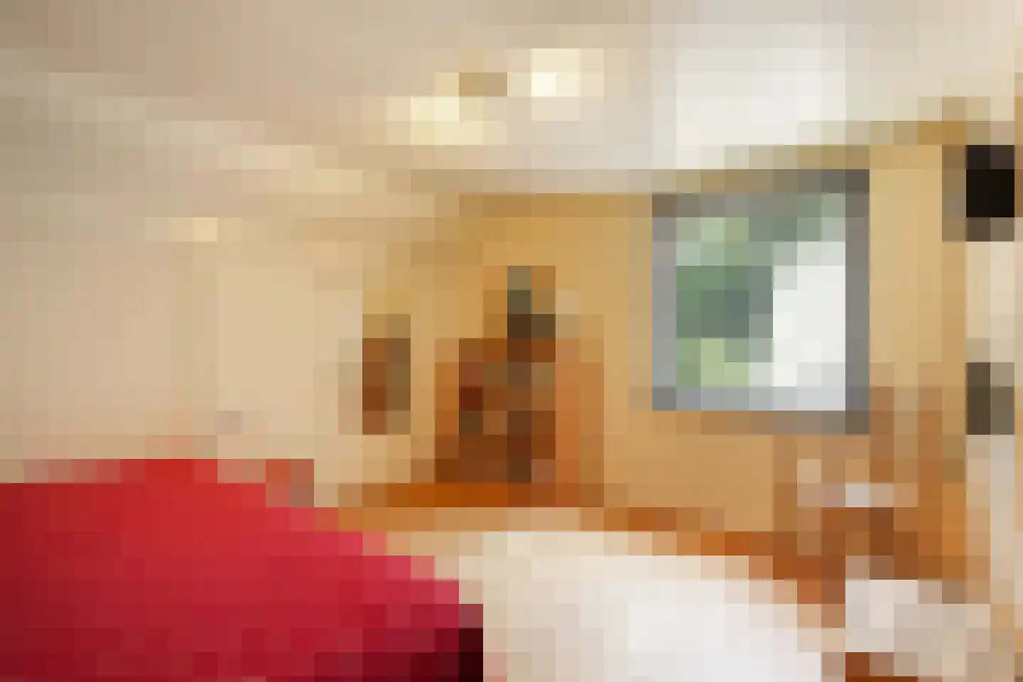 Heikant 8 Deurne thumbnail 30