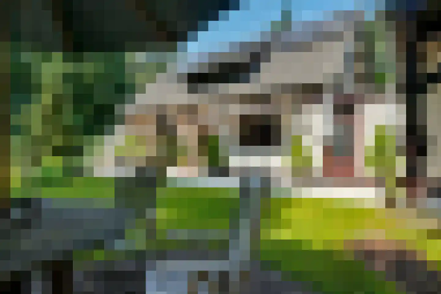 Heikant 8 Deurne thumbnail 38