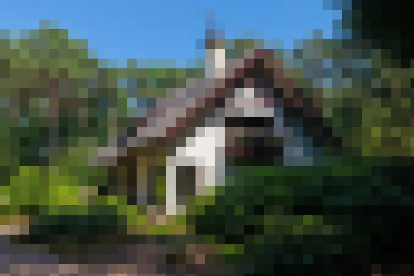 Heikant 8 Deurne thumbnail 4
