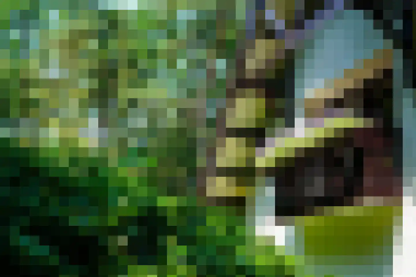 Heikant 8 Deurne thumbnail 41