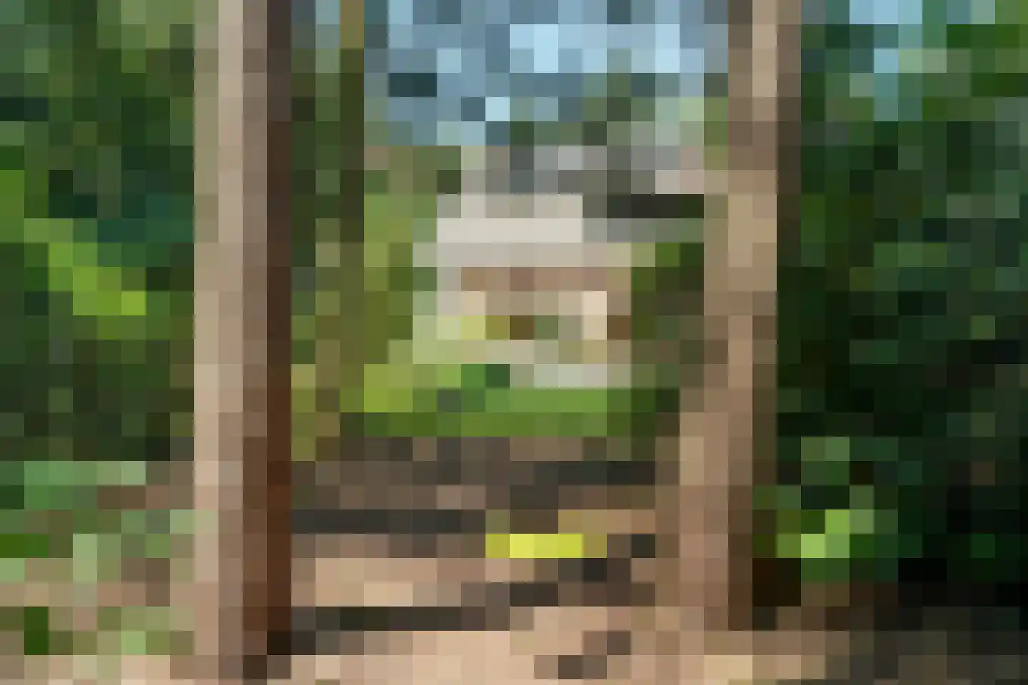 Heikant 8 Deurne thumbnail 42