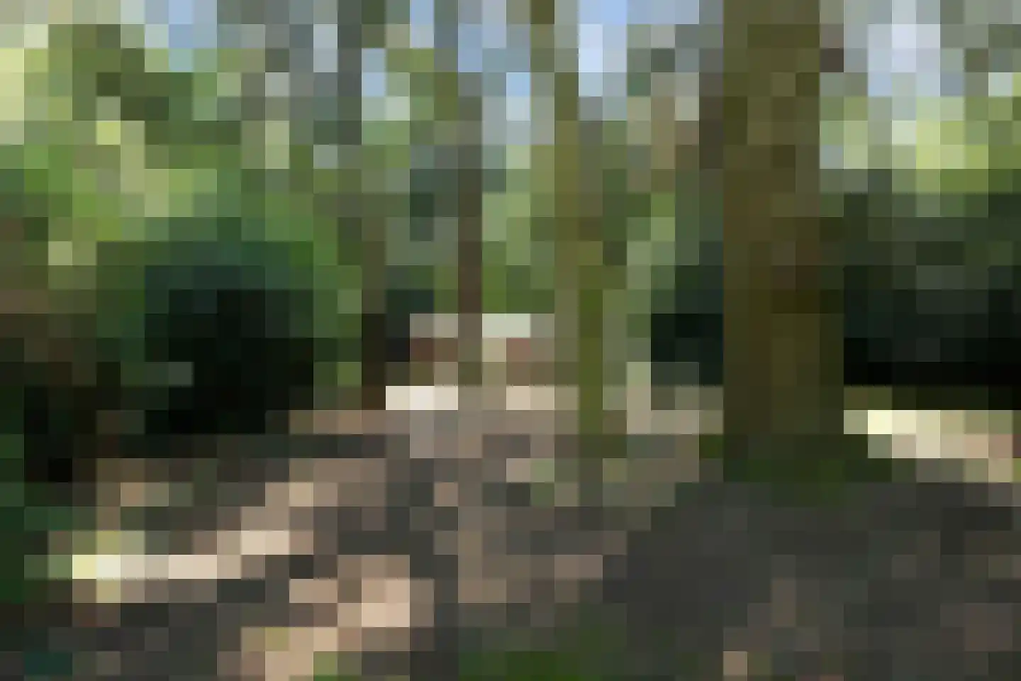 Heikant 8 Deurne thumbnail 43