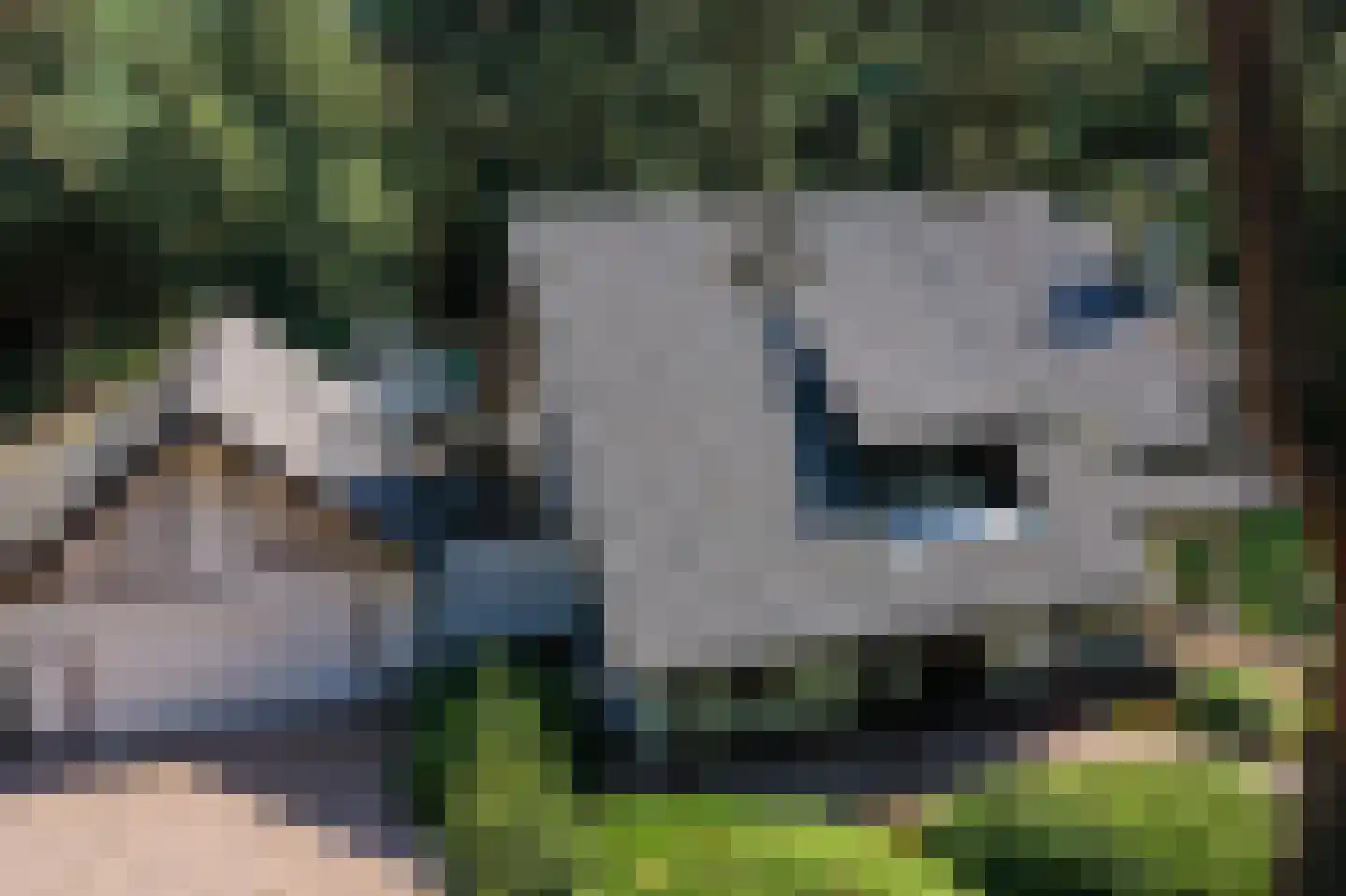 Heikant 8 Deurne thumbnail 46