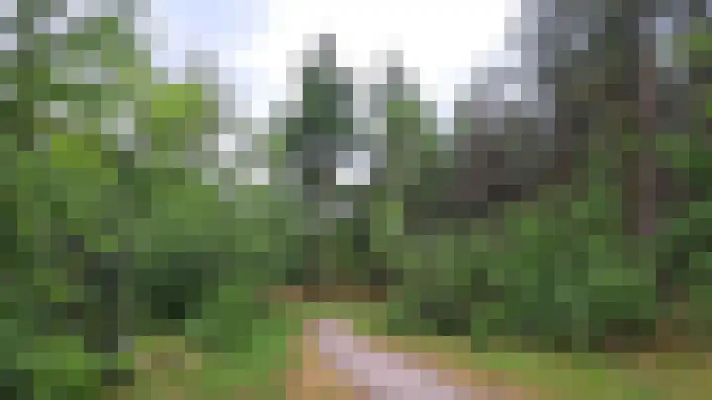 Heikant 8 Deurne thumbnail 49