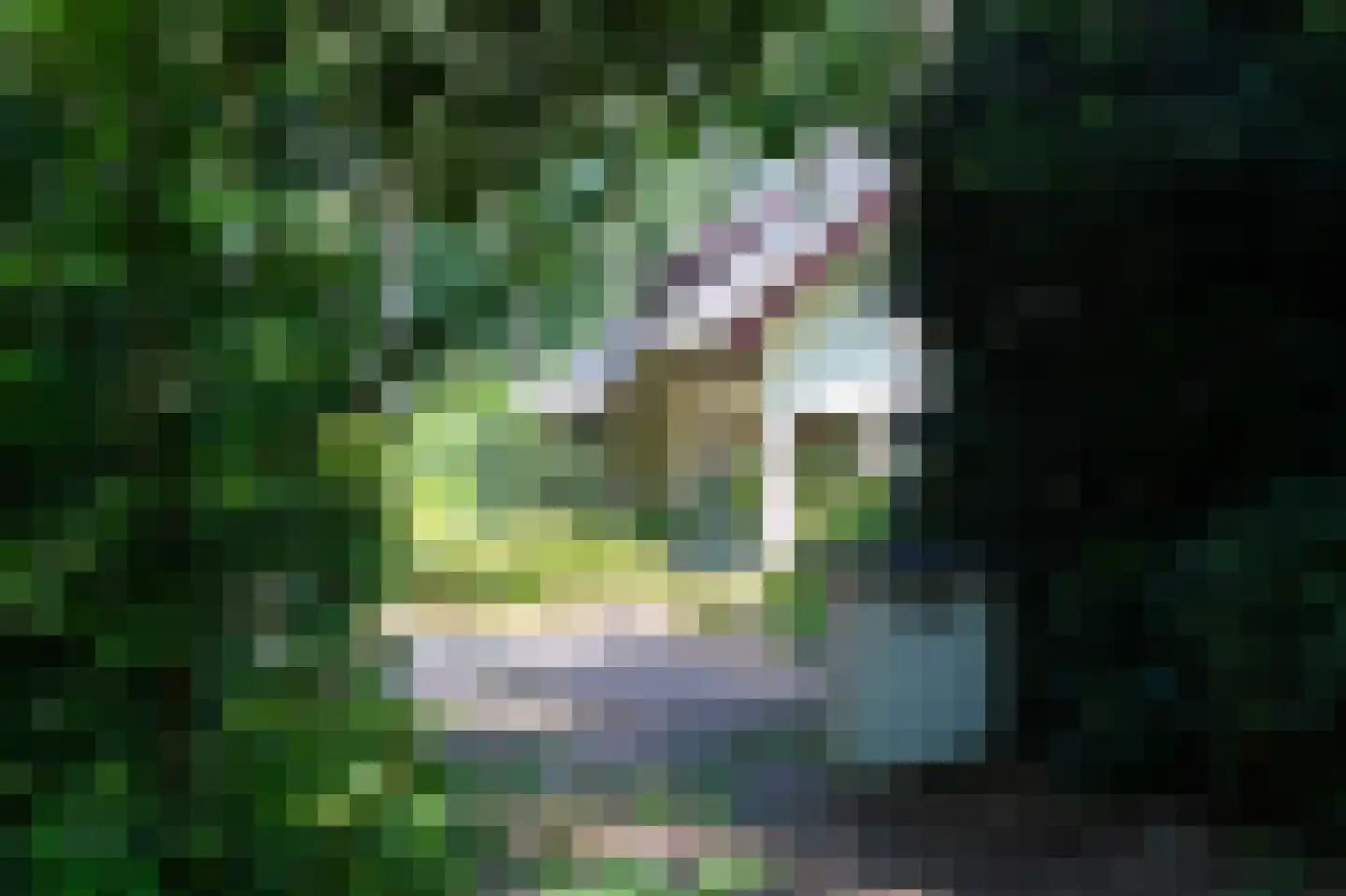 Heikant 8 Deurne thumbnail 6