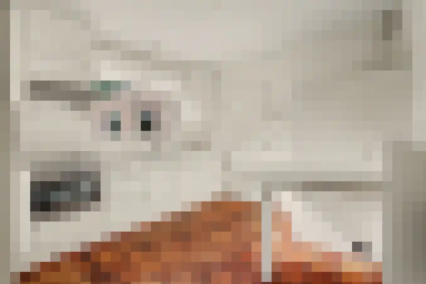 Heikant 9 Kaatsheuvel thumbnail 11