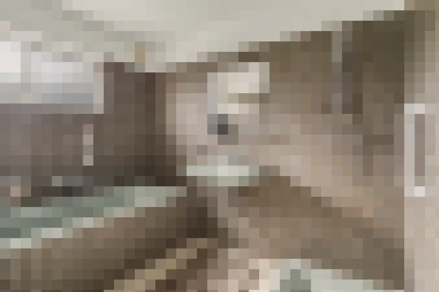 Heikant 9 Kaatsheuvel thumbnail 20