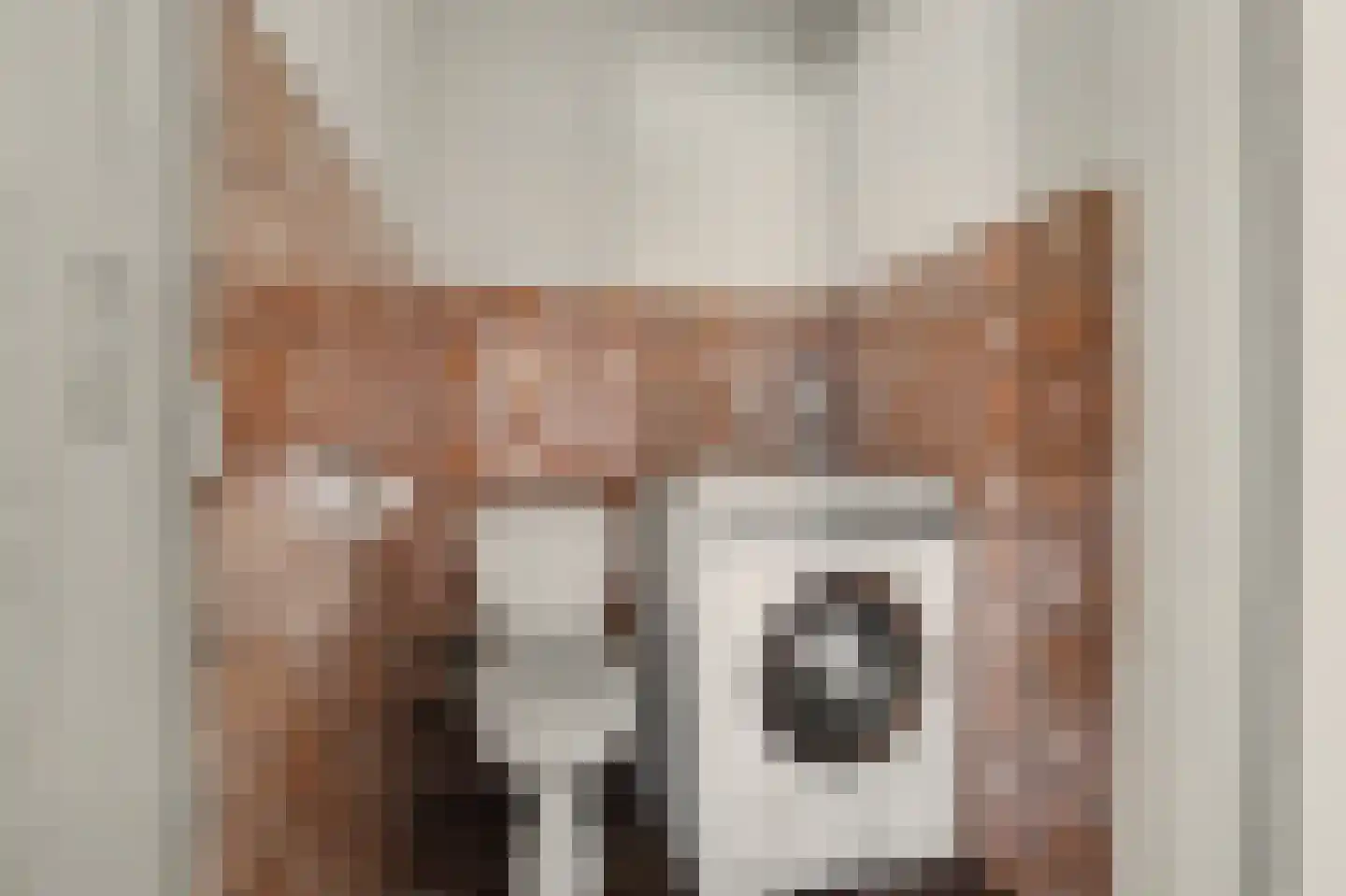 Heikant 9 Kaatsheuvel thumbnail 22