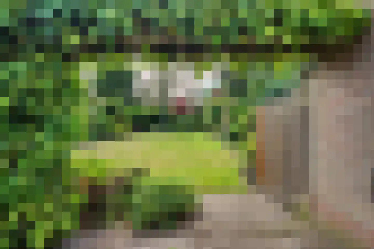 Heikant 9 Kaatsheuvel thumbnail 30