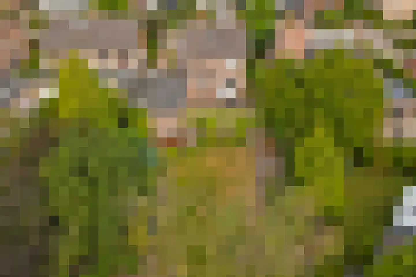Heikant 9 Kaatsheuvel thumbnail 32