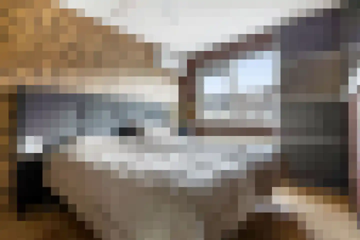 Heikantsebaan 65 Veldhoven thumbnail 19