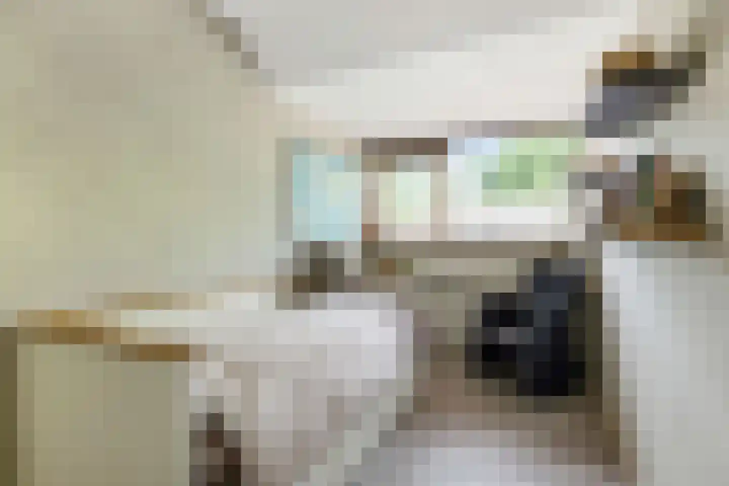 Heikantsebaan 65 Veldhoven thumbnail 21