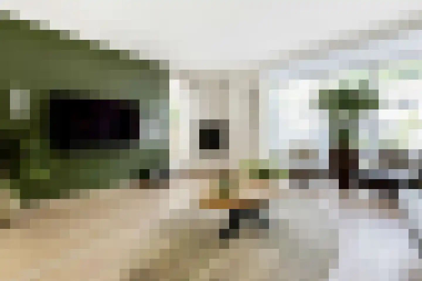 Heikantsebaan 65 Veldhoven thumbnail 9