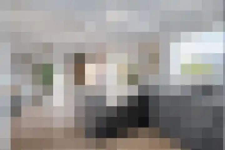 Heikantsestraat 14 Prinsenbeek thumbnail 13