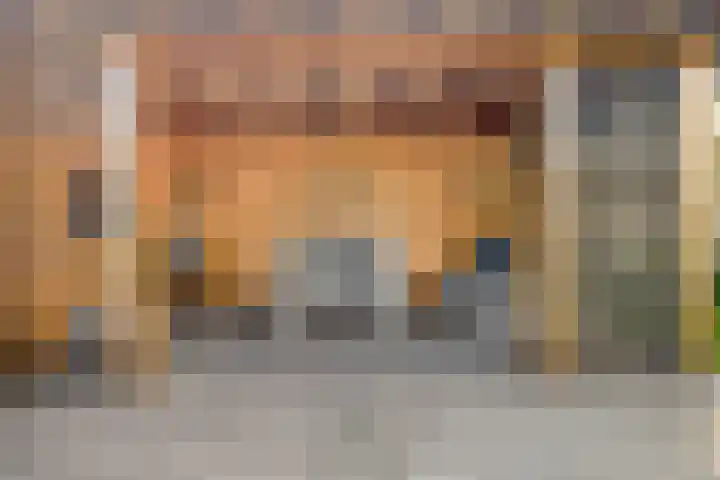 Heikantsestraat 14 Prinsenbeek thumbnail 31