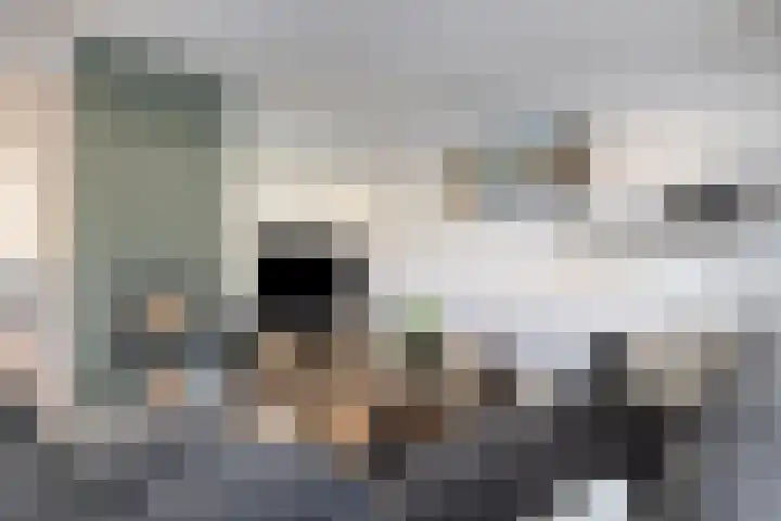Heikantsestraat 14 Prinsenbeek thumbnail 9