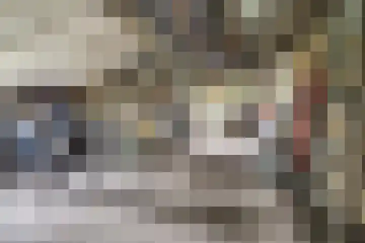 Heikantsestraat 4 Chaam thumbnail 39