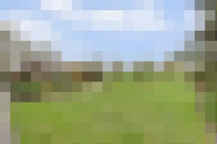 Heikantsestraat 4 Chaam thumbnail 4