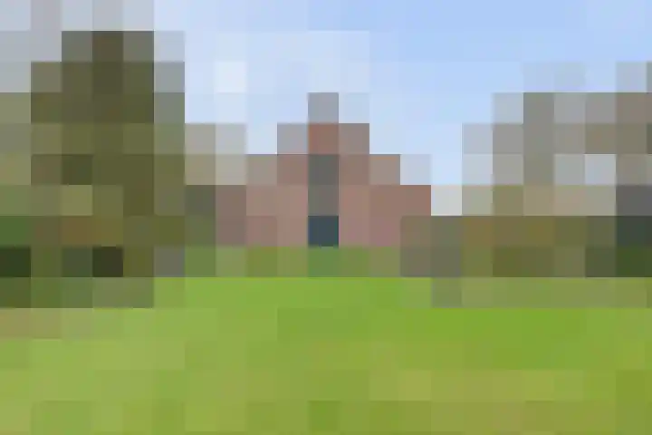 Heikantsestraat 4 Chaam thumbnail 42