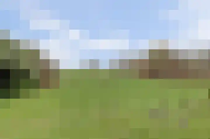 Heikantsestraat 4 Chaam thumbnail 47