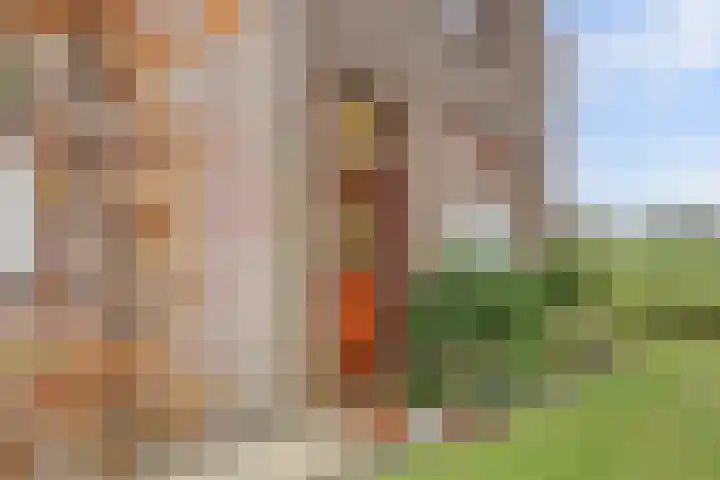 Heikantsestraat 4 Chaam thumbnail 54