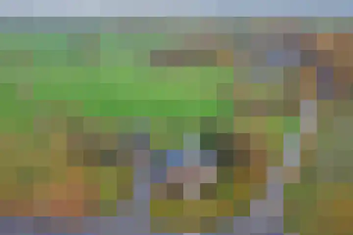 Heikantsestraat 4 Chaam thumbnail 55