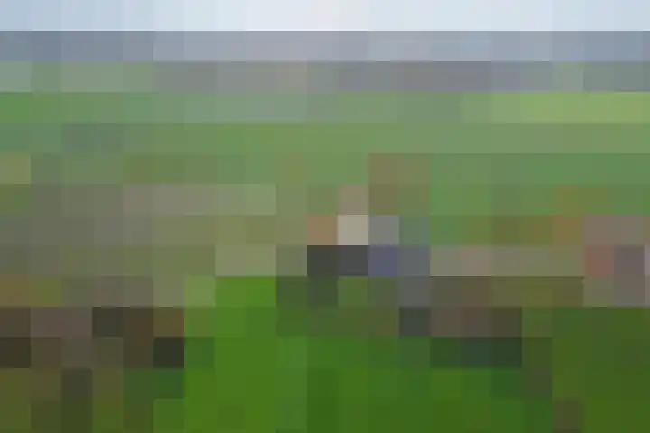 Heikantsestraat 4 Chaam thumbnail 57