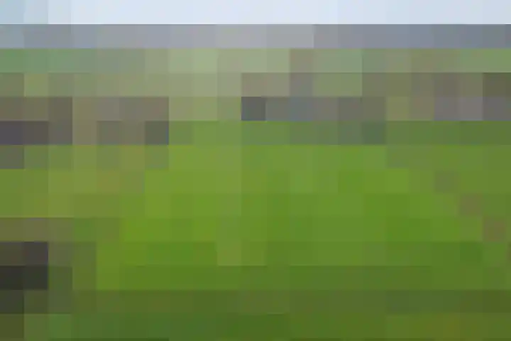 Heikantsestraat 4 Chaam thumbnail 58