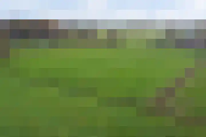Heikantsestraat 4 Chaam thumbnail 59