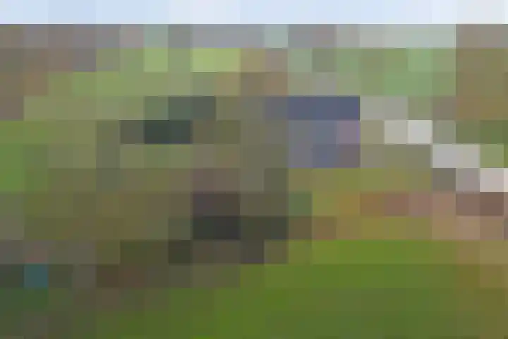 Heikantsestraat 4 Chaam thumbnail 60