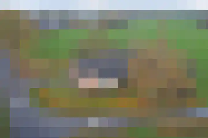 Heikantsestraat 4 Chaam thumbnail 61