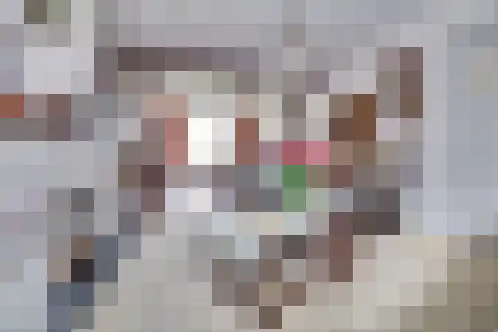 Heikantsestraat 4 Chaam thumbnail 9