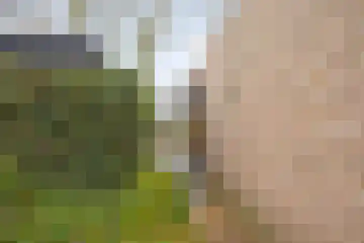 Heikantsestraat 41 Prinsenbeek thumbnail 30