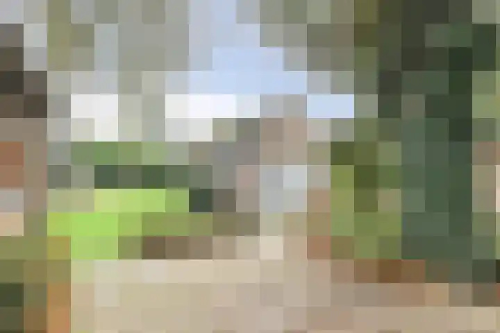 Heikantsestraat 54 Prinsenbeek thumbnail 33