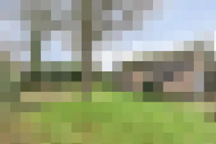 Heikantsestraat 54 Prinsenbeek thumbnail 35