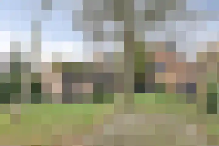 Heikantsestraat 54 Prinsenbeek thumbnail 36
