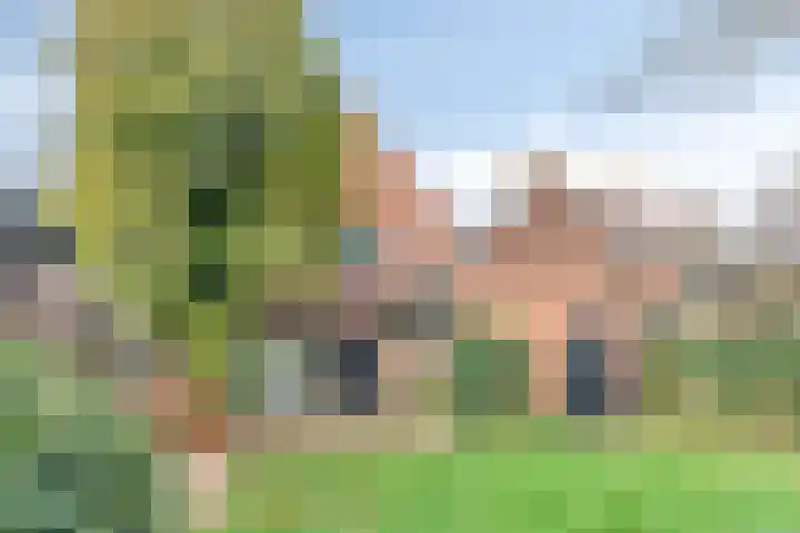 Heikantsestraat 54 Prinsenbeek thumbnail 38
