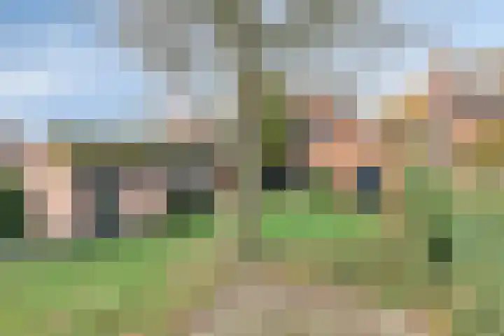 Heikantsestraat 54 Prinsenbeek thumbnail 4
