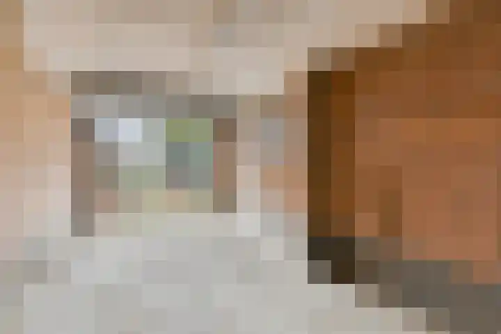 Heikantsestraat 54 Prinsenbeek thumbnail 41