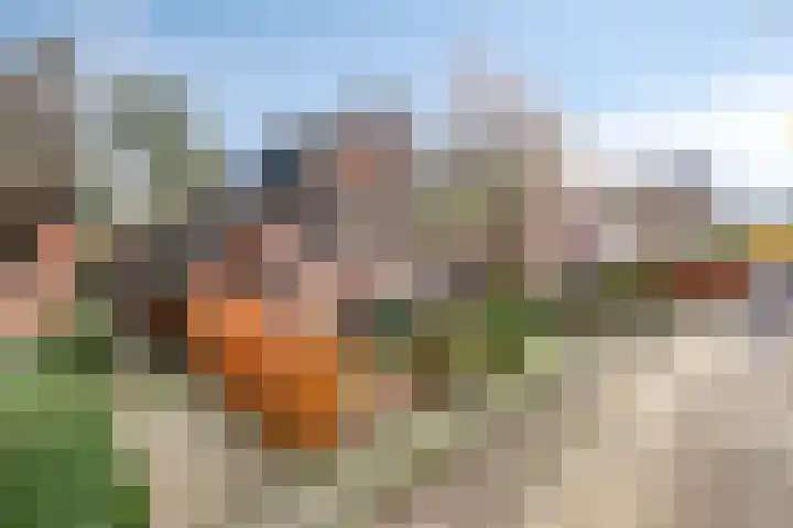 Heikantsestraat 54 Prinsenbeek thumbnail 43
