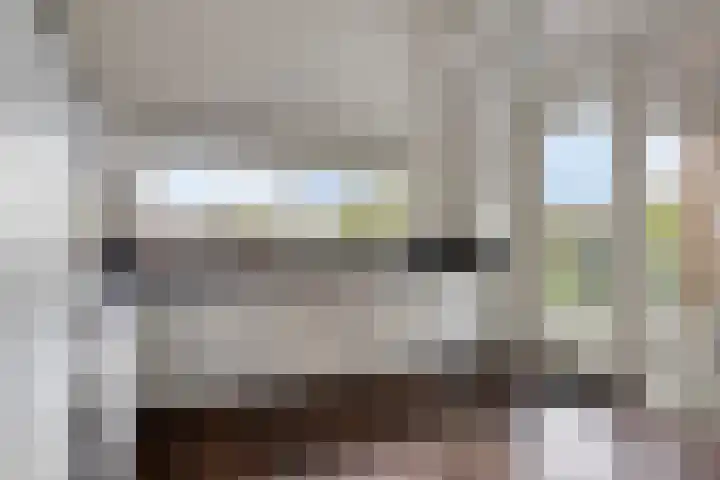 Heikantsestraat 6 A Prinsenbeek thumbnail 16