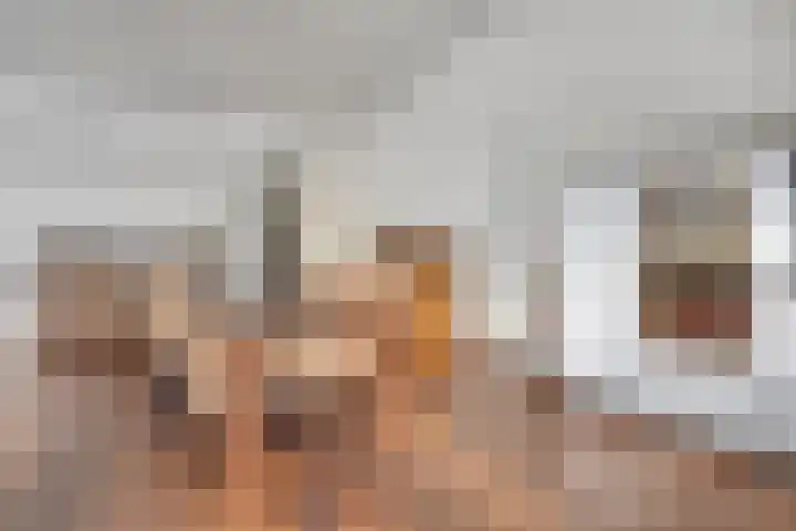 Heikantsestraat 6 A Prinsenbeek thumbnail 17