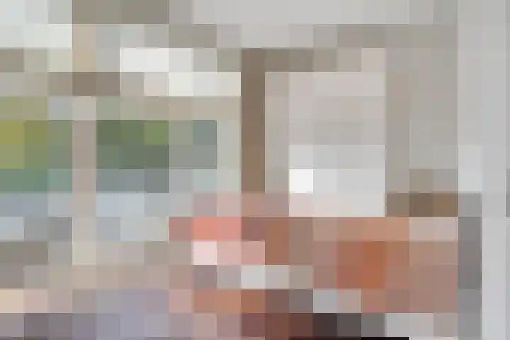 Heikantsestraat 6 A Prinsenbeek thumbnail 18