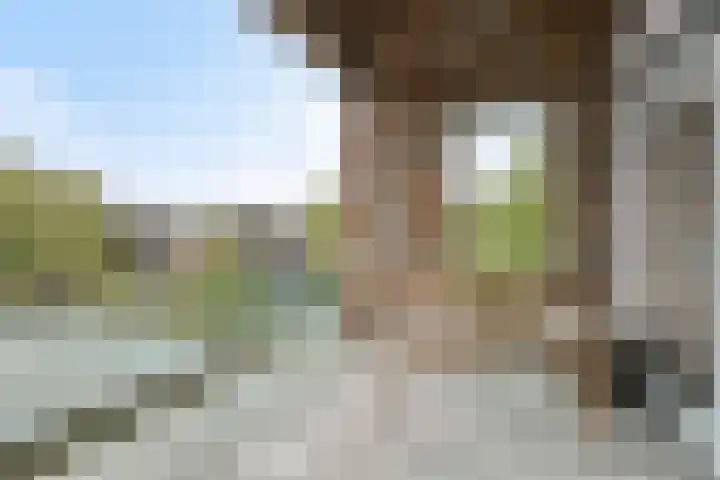 Heikantsestraat 6 A Prinsenbeek thumbnail 26