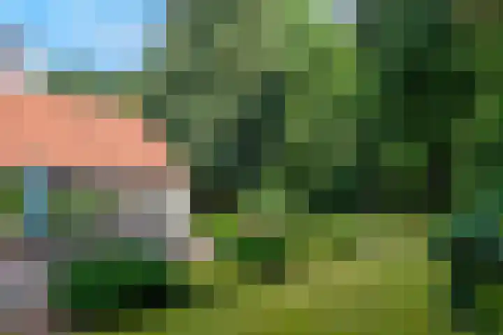 Heikantseweg 31 Middelaar thumbnail 36
